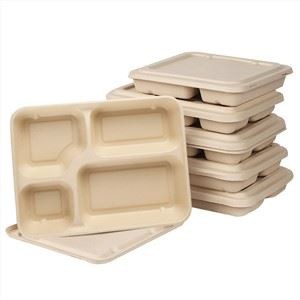 Bagasse Zuckerrohr-Takeaway-Behälter