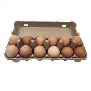 Eierkartons geformter Zellstoff
