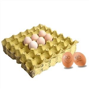 Hersteller von Papierzellstoff-Eierablagen