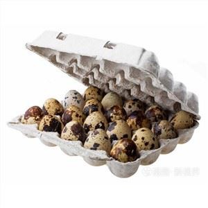 Pulp Quail Eierkartons