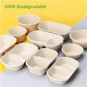 Biologisch abbaubare Einweg-Lunchbox